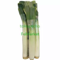 Leek import daun bawang import -+300/1pcs