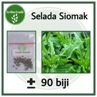 90 Benih Selada Siomak Pointed Leaf Aroma Wangi -Bibit Repack [SERIBU]