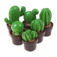 Miniatures - Terrariums - Fairy Garden - Cactus (1pc)