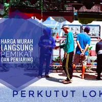 Perkutut Lokal