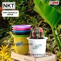 pot bunga warna warni nkt CACTUS 10cm