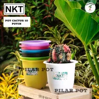 pot bunga warna warni nkt CACTUS 10cm