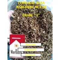 Tembakau Marlboro Merah Grade A 500 gram