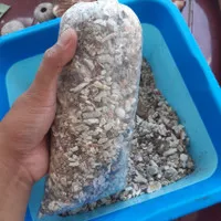 bubuk kerang/limbah kerang/batu kerang laut harga per kilo murah