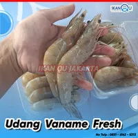 Udang Vaname Fresh 500gr - Udang Vaname sz 30 White Shrimp Fresh