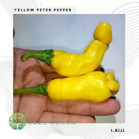 Benih / Bibit / Biji Cabe Porno Yellow Peter Pepper - IMPORT