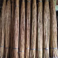 1 bambu ekor cendani natural