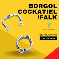 Ring borgol burung falk cockatiel