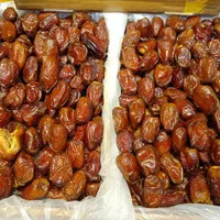 Kurma Madu Mesir 10kg/kurma mesir 10kg/grosir kurma oleh oleh haji