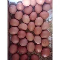 Telur 1/2 kg