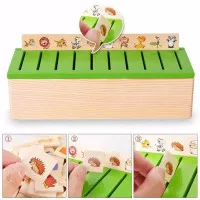 knowledge classification box puzzle montessori mainan anak bayi memory