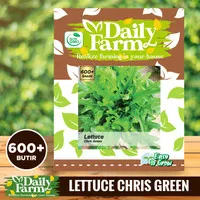 Daily Farm - Benih Bibit Lettuce Chris Green - Selada Chris Green