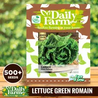 Benih Selada - Bibit Lettuce Green Romaine - Daily Farm