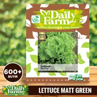 Daily Farm - Benih Bibit Lettuce - Selada Matt Green