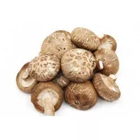 SHITAKE/HYOKO DRIED MUSHROOM (per 100gr)