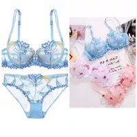 Sexy push up bra - lace transparent mesh embroidery panty set