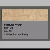 Granit Roman GT615501R dCalavera Avana 15x60