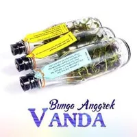 Bibit Tanaman Hias Bunga Anggrek Vanda Botol Isi 20+ Bibit