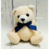 Boneka Teddy Bear Berpita Biru