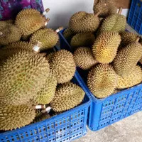 Buah Durian Montong / Duren Monthong Utuh Per Kilogram (KG) - Bali Per 1 kg
