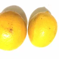 lemon california lokal