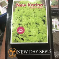 Benih new day seed - Selada keriting Karina