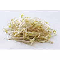 Tauge | Toge | Sayur Toge Tauge | Beansprout Bean Sprout - 250 GR