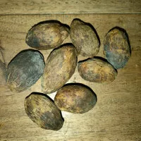 buah pinang tua kering ber kulit 50 biji