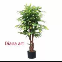 pohon beringin#bonsai beringin#beringin plastik#daun beringin