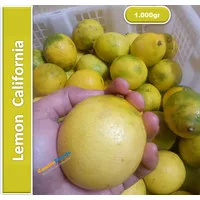 Lemon California Lokal | CFI Fresh [ Harga Per KG ]