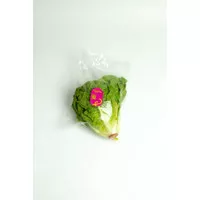 romaine