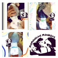 Terlaris! Popok (Diapers) 50 PCS (1kg) Khusus Monkeys / Beruk / Monyet