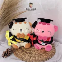 Boneka Wisuda Kucing 25CM | Hadiah Wisuda Murah Boneka Wisuda Surabaya