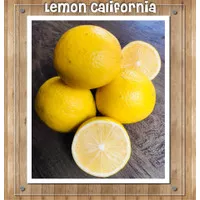Lemon California 1 Kg