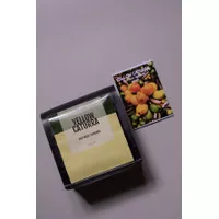Arabica Yellow Caturra Flores 250 gram