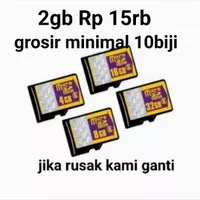 memori micro sd vgen sandisk 2gb