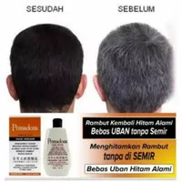 Primadona Hair Cream Penghitam Rambut Beruban Original 150ml