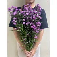 bunga pikok ungu fresh flower segar Tangerang