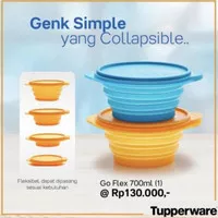 TERBARU TUPPERWARE GO FLEX RECTANGULAR/MANGKOK LIPAT