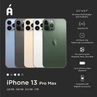iPhone 13 Pro Max 128GB 256GB 512G 1T Sierra Blue Silver Gold Graphite