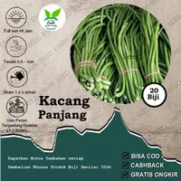 Benih Biji Kacang Panjang Katrina Unggul