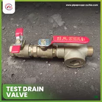 Test Drain Valve