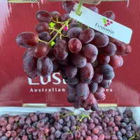 Anggur Crimson- Import Australia