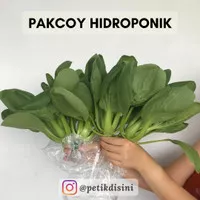 Pakcoy / Pokcoy / Pakcoy Hidroponik / Hydroponic 250gr / 1kg