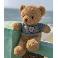 Boneka Teddy Bear Coklat Sweater Biru - 30 Cm