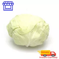 kubis_kol asli medan 1 kg