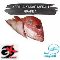 Kepala Ikan Kakap Merah Sedang Segar Grade A - Per 1 Kepala