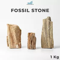 Batu Fosil Kayu Aquascape / Aquarium 1kg