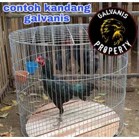 kurungan besi/tenggaran ayam aduan/umbaran ayam jago/bangkok bulat D90