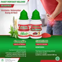 GANG JIE DAN GHO SIAH OBAT SIPILIS DE NATURE